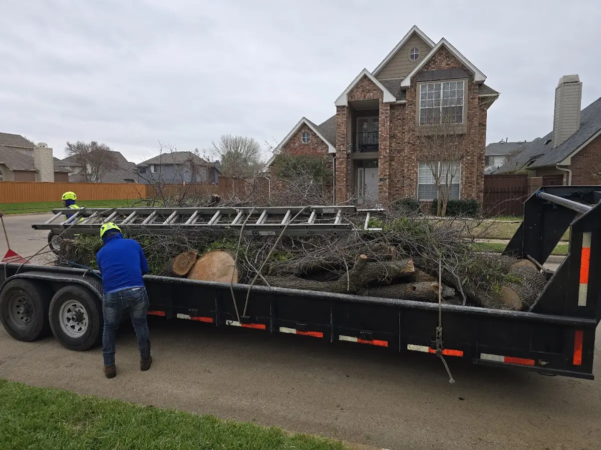 Expert Tree Fertilization with proper safety equipment in Bascom